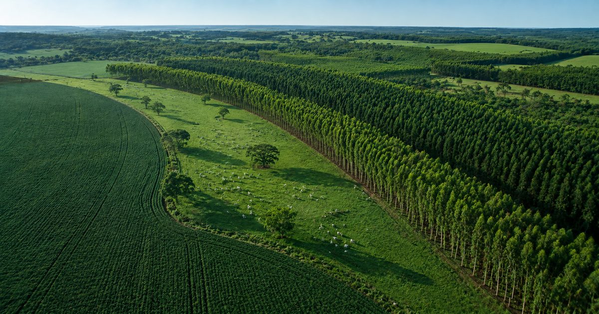 Baixo carbono já cobre 65 milhões de hectares: o produtor está dentro?