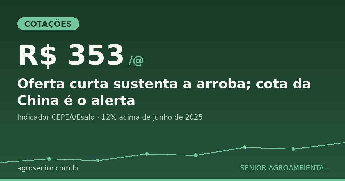 Boi gordo a R$ 353/@: oferta curta sustenta a arroba, mas cota da China preocupa