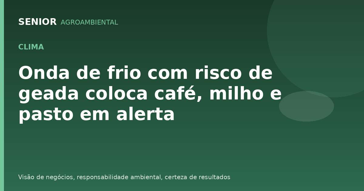 Onda de frio com risco de geada coloca café, milho e pasto em alerta