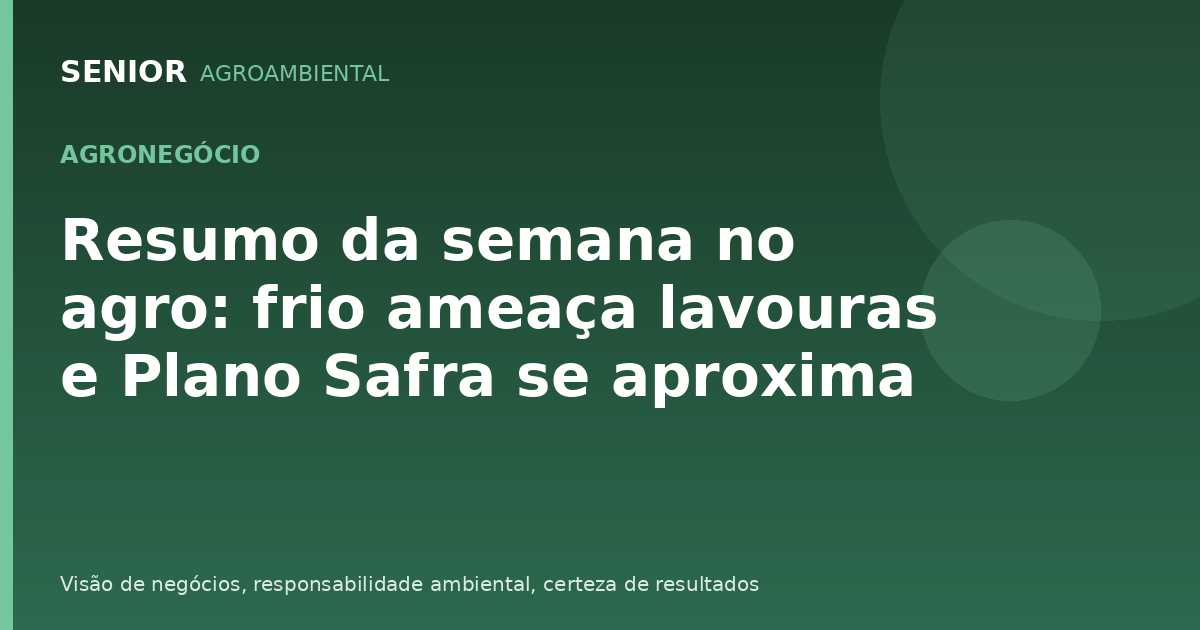 Resumo da semana no agro: frio ameaça lavouras e Plano Safra se aproxima