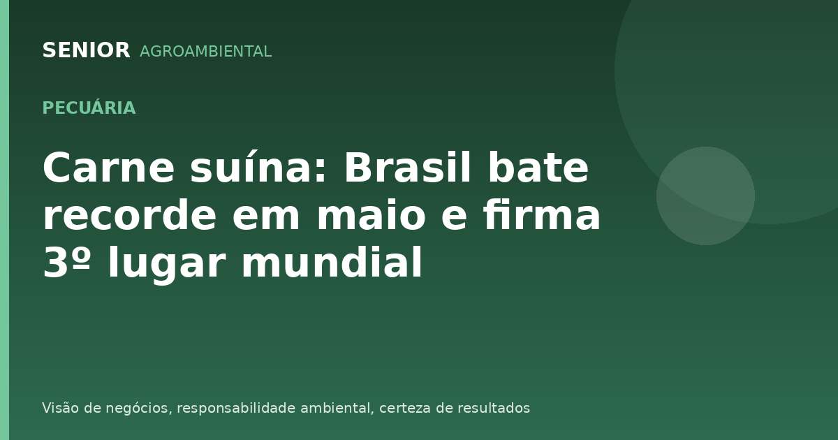 Carne suína: Brasil bate recorde em maio e firma 3º lugar mundial