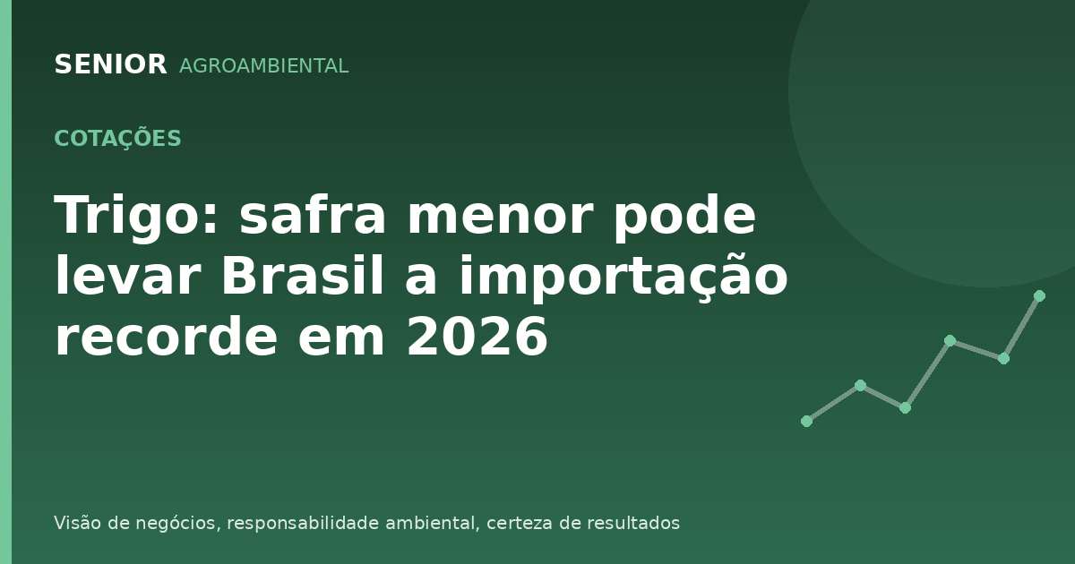 Trigo: safra menor pode levar Brasil a importação recorde em 2026