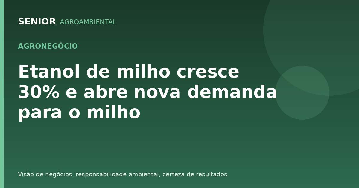 Etanol de milho cresce 30% e abre nova demanda para o milho