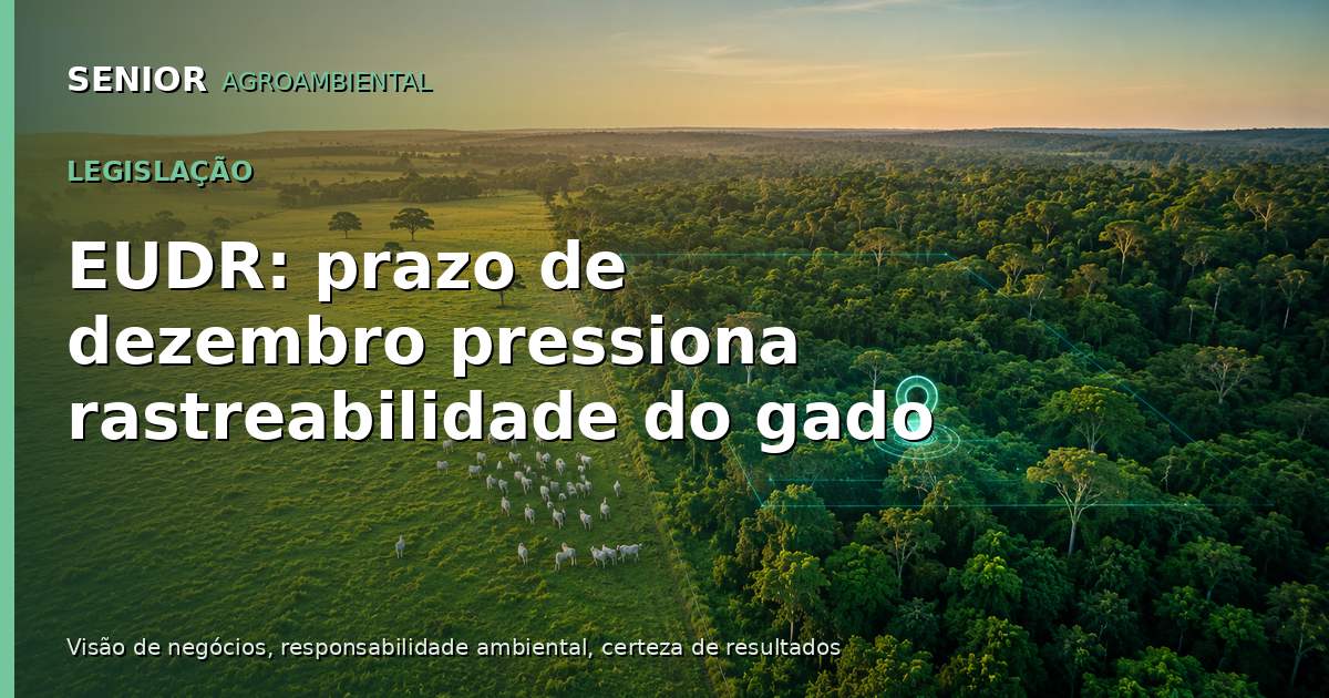 EUDR: prazo de dezembro pressiona rastreabilidade do gado
