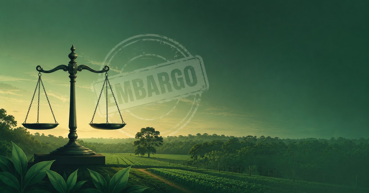 Prescrição de embargo ambiental: o IRDR 94 do TRF1 que mexe com a terra