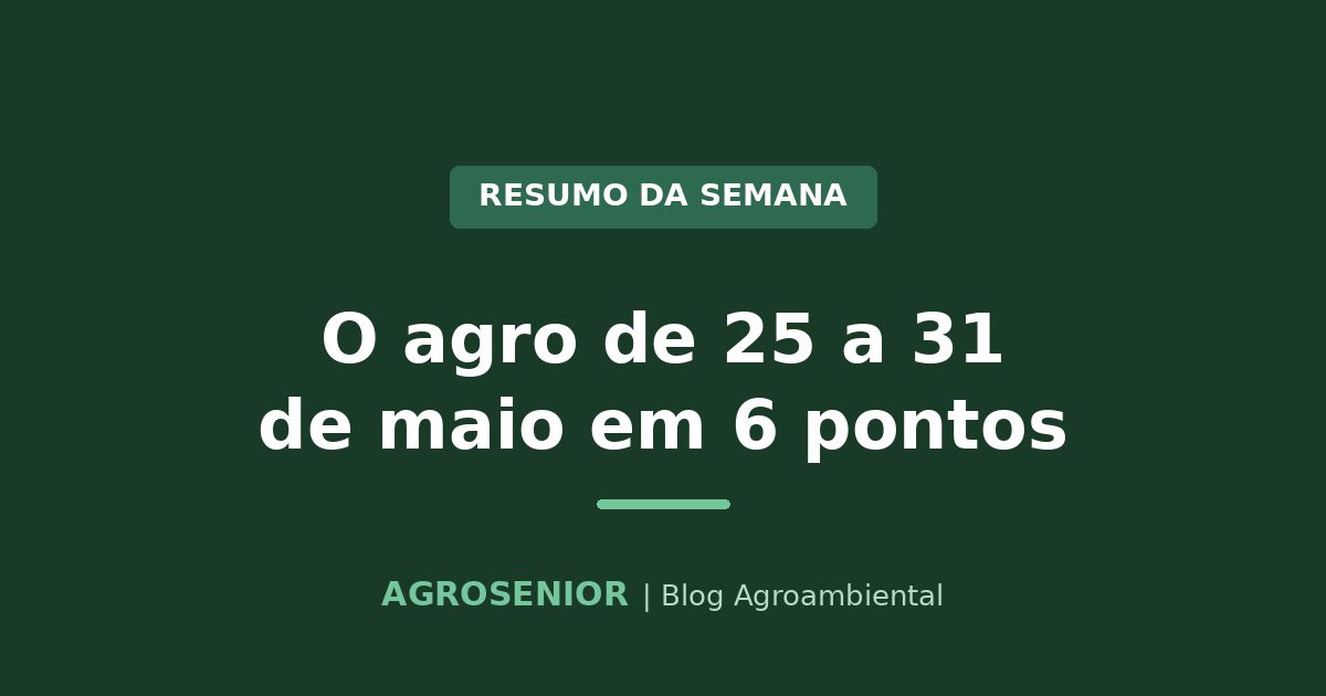 Resumo da semana: boi firme, milho em baixa e Plano Safra no radar