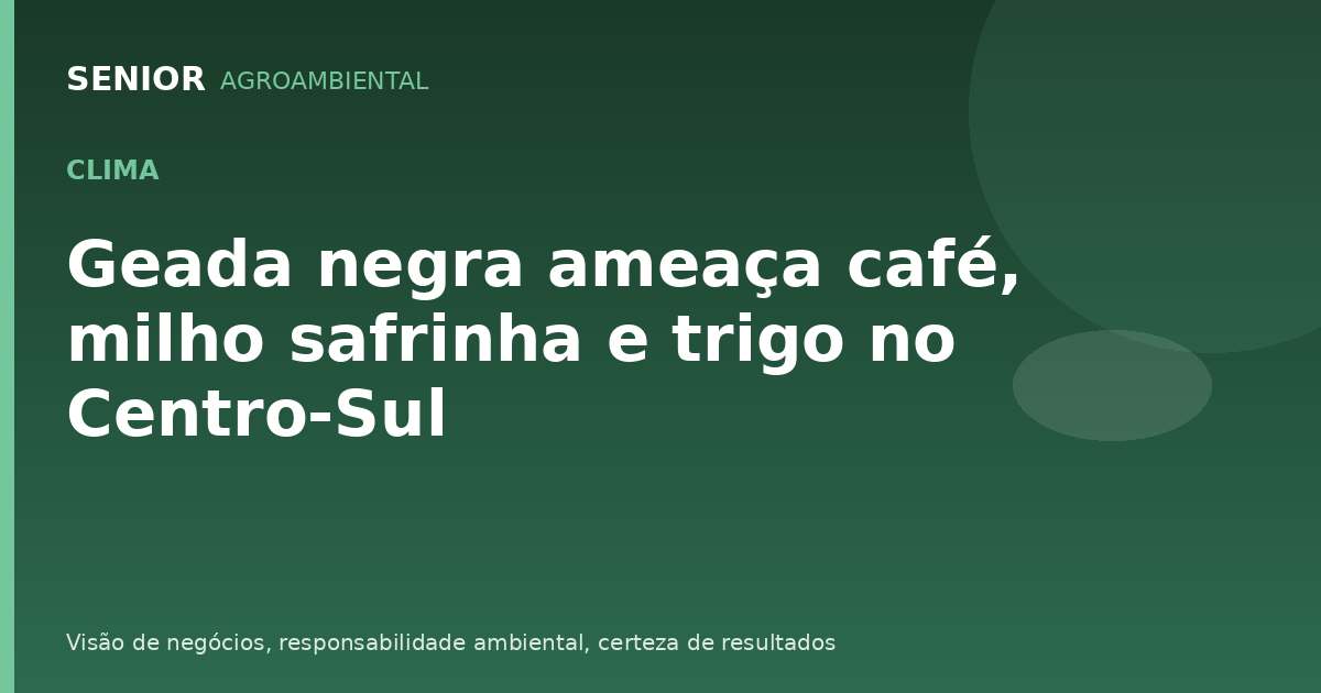 Geada negra ameaça café, milho safrinha e trigo no Centro-Sul