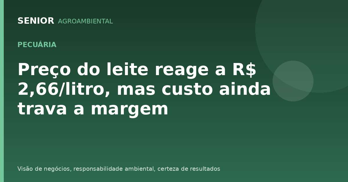 Preço do leite reage a R$ 2,66/litro, mas custo ainda trava a margem