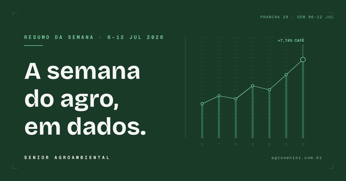 Resumo da semana no agro: café dispara, soja avança e tarifa dos EUA no radar
