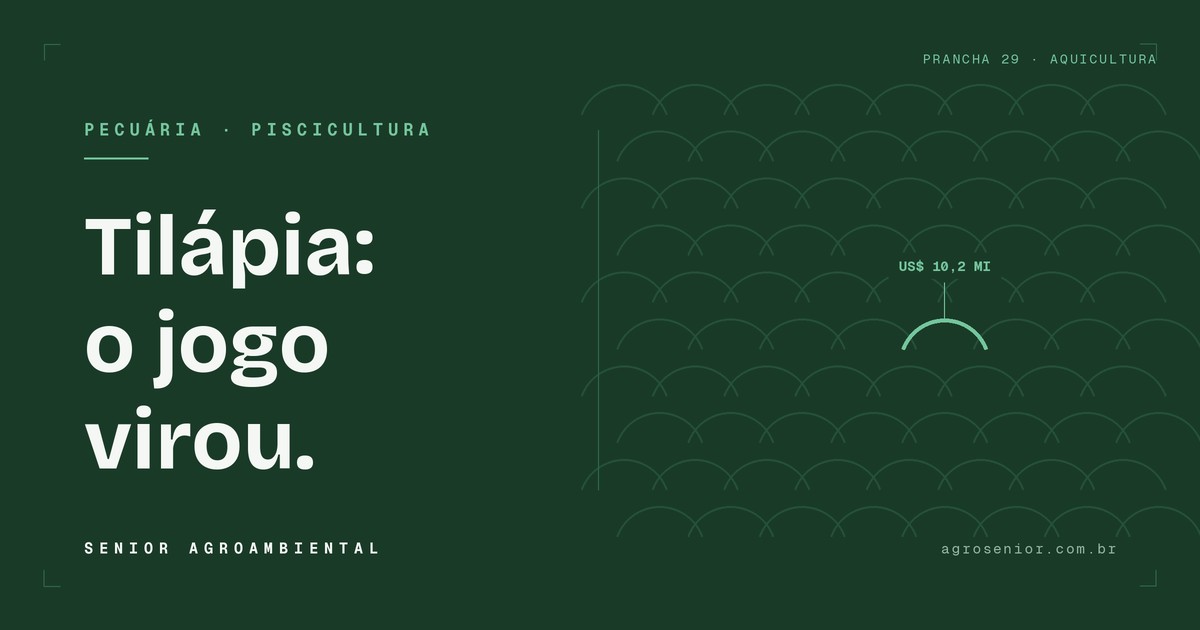 Tilápia: Brasil importa mais do que exporta e setor teme nova regra ambiental