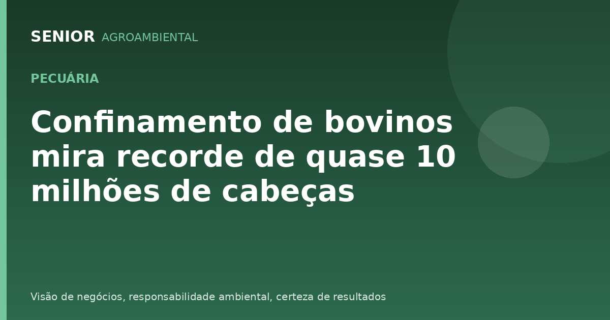 Confinamento de bovinos mira recorde de quase 10 milhões de cabeças